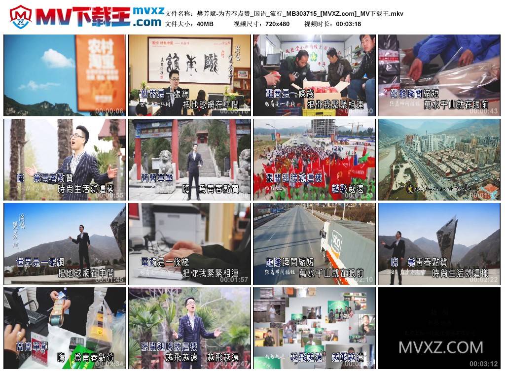 樊芳斌-为青春点赞_国语_流行_MB303715